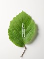 _Calm_&_Balance_Ampoules_Motiv_03_-_165555.jpg