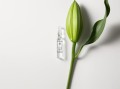 _Renew_&_Activate_Ampoules_Motiv_01_-_165481.jpg