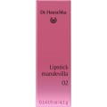 Lipstick 02 mandevilla Frühjahr 2025 4,1g Originalware Sekundärverpackung INT ohne Schatten 2000x2000 Ecco Verde_master.jpg